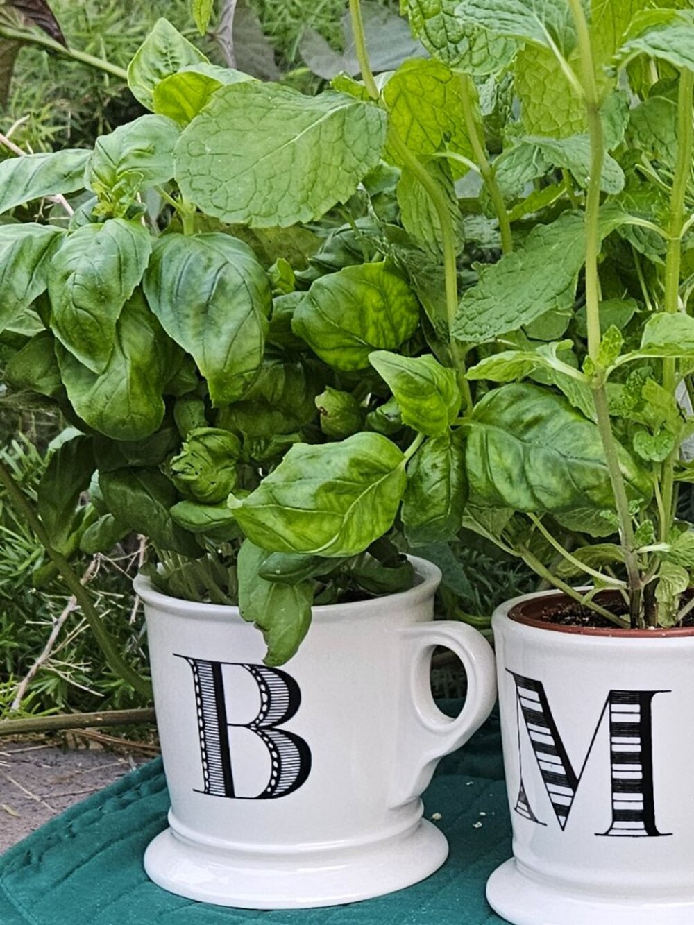 Anthropologie Monogram Mug (a.k.a. Mr. Mug) "B" (2 of 2)